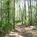 2012-May-05_HGR4X4_Richloam 193